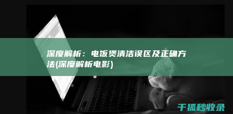 深度解析：电饭煲清洁误区及正确方法 (深度解析电影)