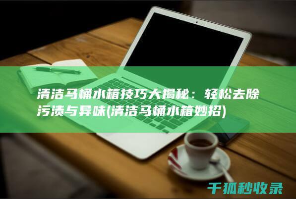 清洁马桶水箱技巧大揭秘：轻松去除污渍与异味 (清洁马桶水箱妙招)