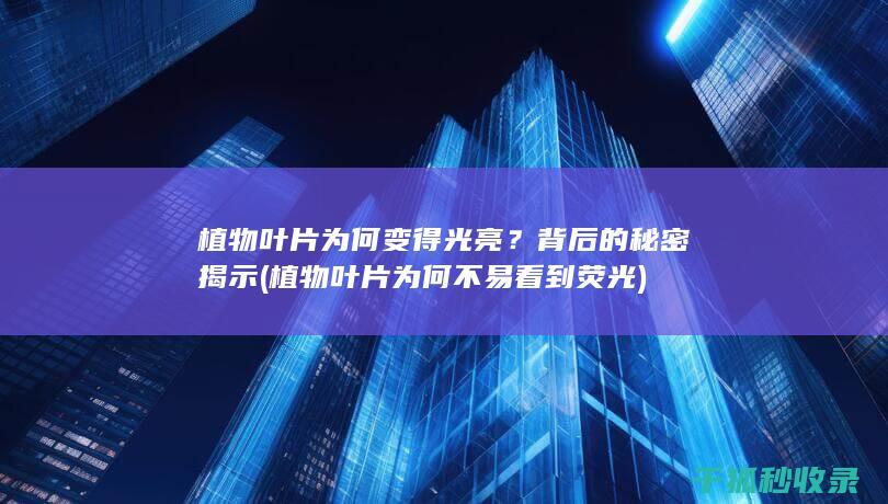 植物叶片为何变得光亮？背后的秘密揭示 (植物叶片为何不易看到荧光)