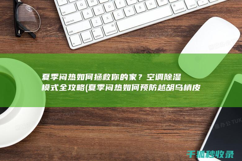 夏季闷热如何拯救你的家
