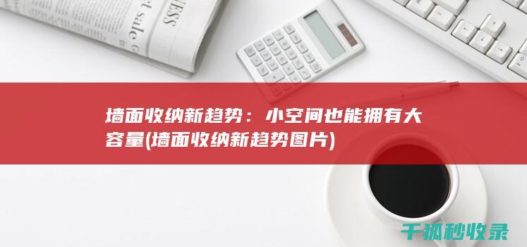 墙面收纳新趋势：小空间也能拥有大容量 (墙面收纳新趋势图片)