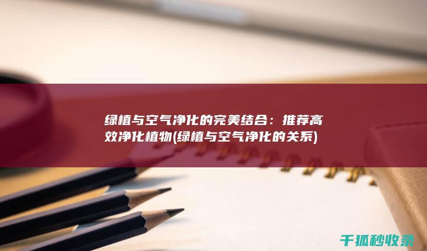 绿植与空气净化的完美结合：推荐高效净化植物 (绿植与空气净化的关系)