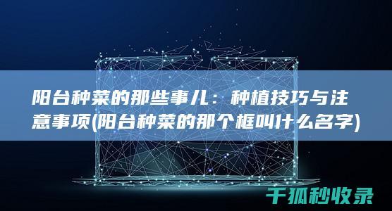 阳台种菜的那些事儿：种植技巧与注意事项 (阳台种菜的那个框叫什么名字)