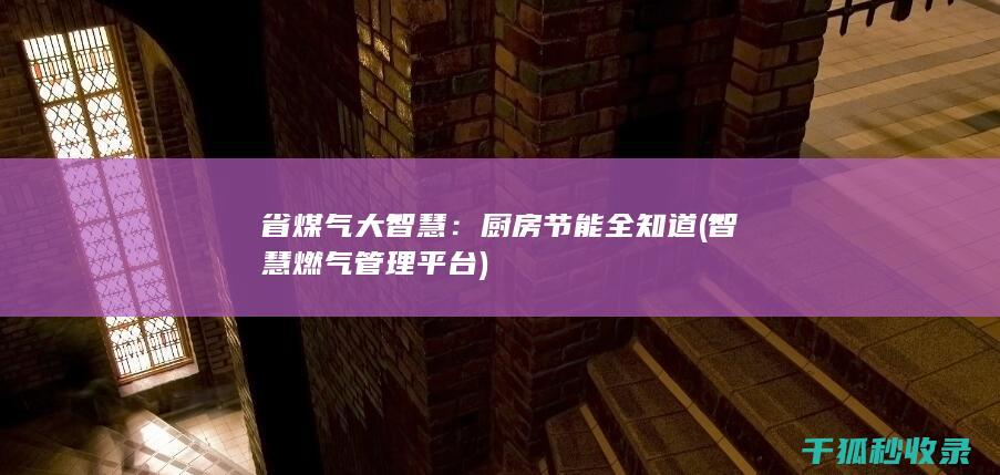 省煤气大智慧：厨房节能全知道 (智慧燃气管理平台)