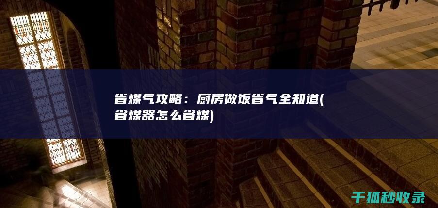 省煤气攻略：厨房做饭省气全知道 (省煤器怎么省煤)