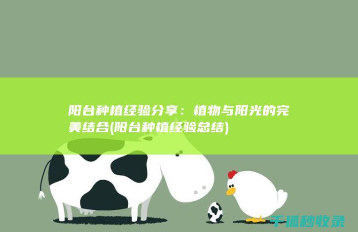 阳台种植经验分享：植物与阳光的完美结合 (阳台种植经验总结)