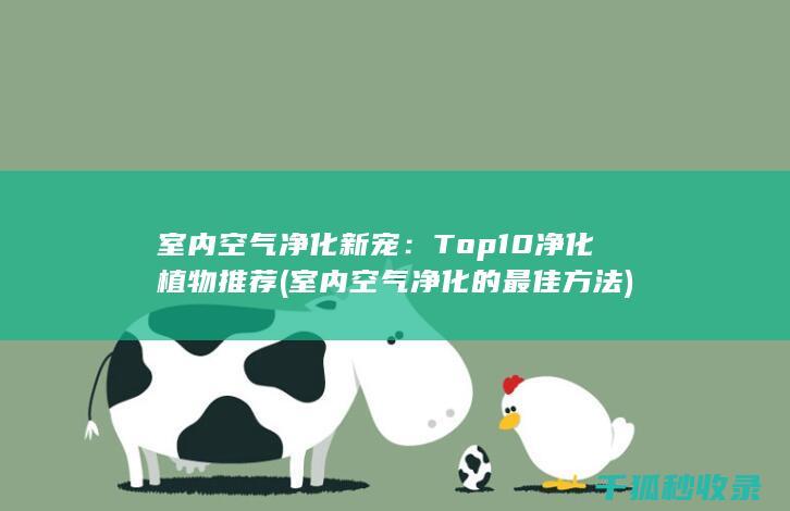 室内空气净化新宠：Top 10 净化植物推荐 (室内空气净化的最佳方法)