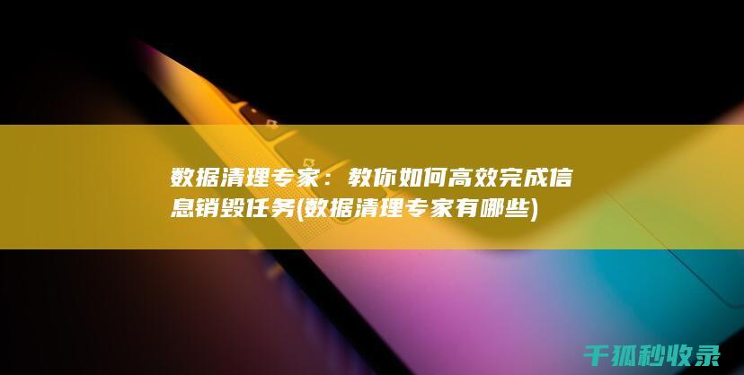 数据清理专家：教你如何高效完成信息销毁任务 (数据清理专家有哪些)