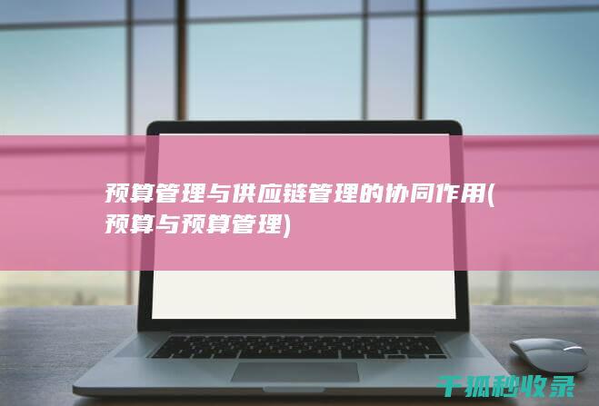 预算管理与供应链管理的协同作用 (预算与预算管理)