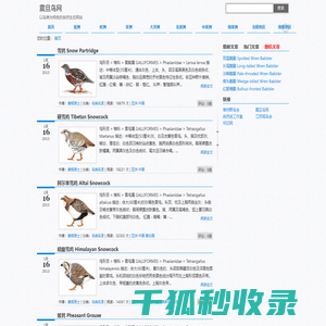 震旦鸟网