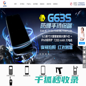 重庆蓝讯科技有限公司