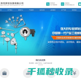 江苏克罗尼仪表有限公司