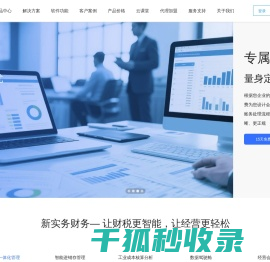 新实务财务软件