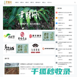 黄精价格行情