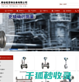 泰安拓思特仪表有限公司