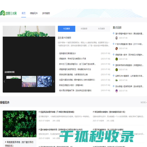 青伊湖绿化苗木种子合作社